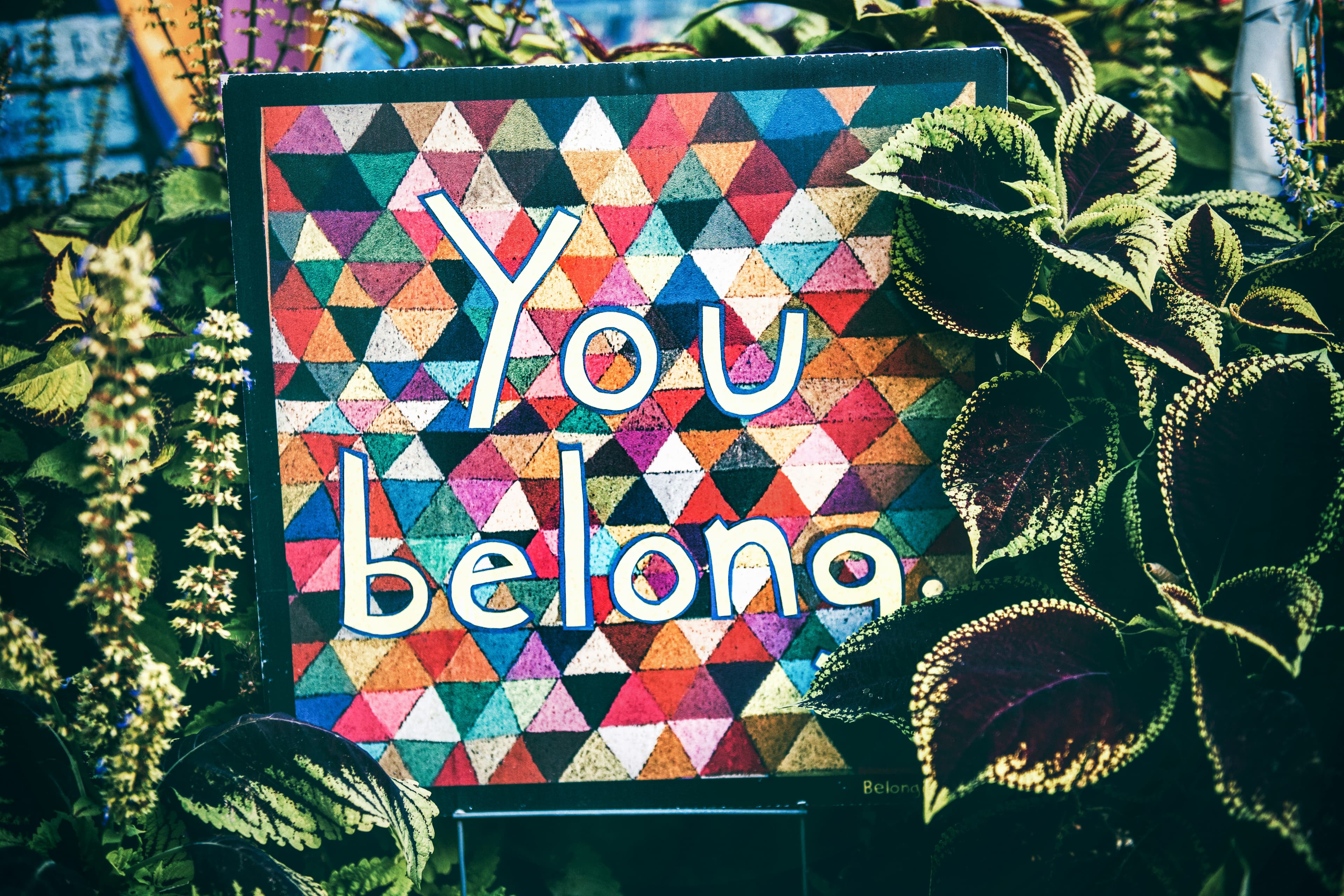 A colourful workplace display reading ‘You belong’, framed by green plants.